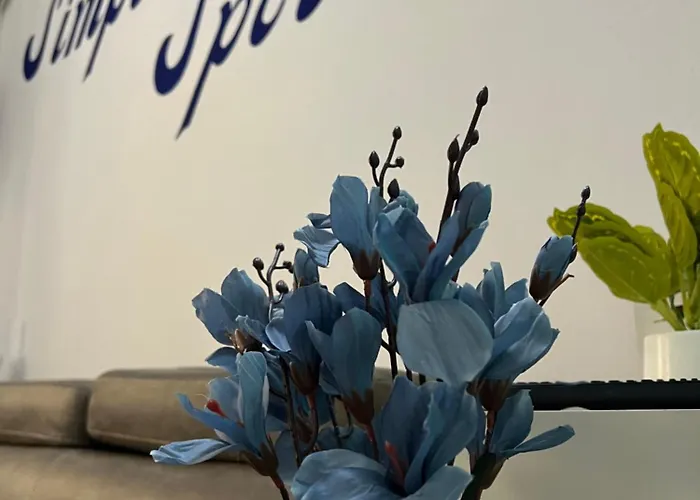 Simplespot 地拉那